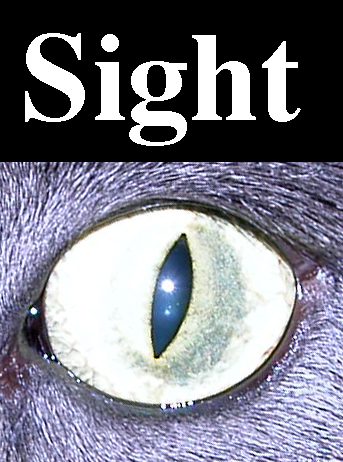 Cat eye with "sight" above