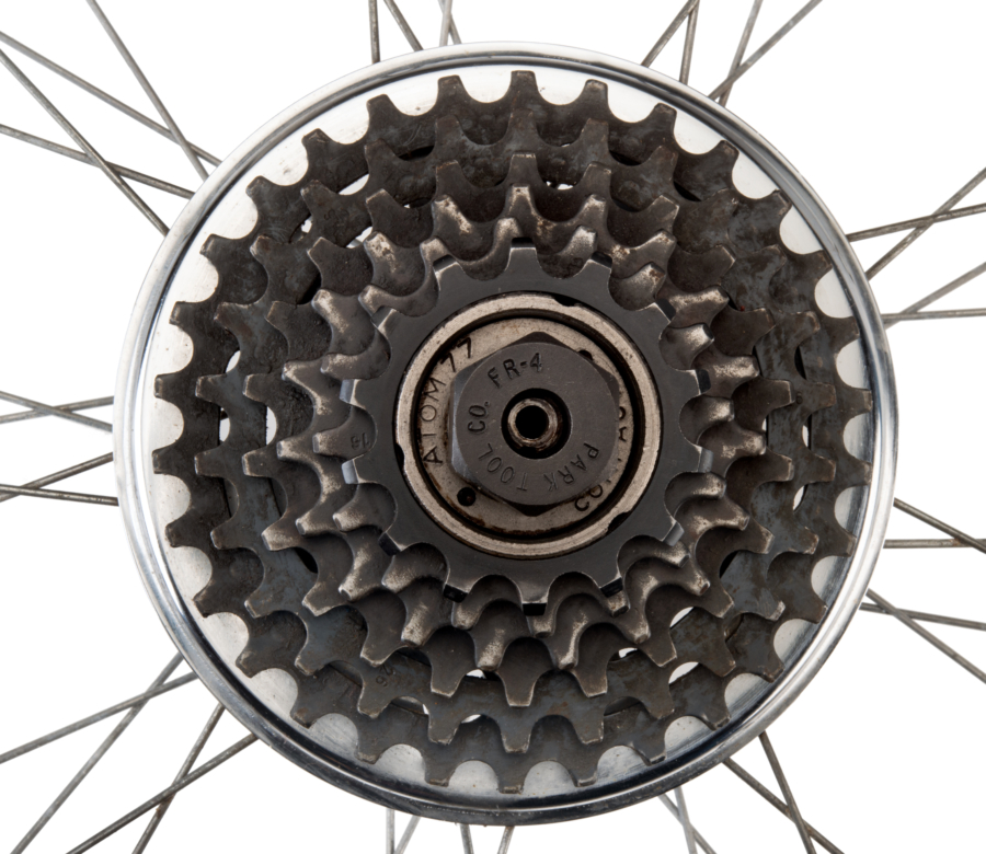 Park Tool FR-4 Freewheel Remover inserted into a 20-spline freewheel, enlarged