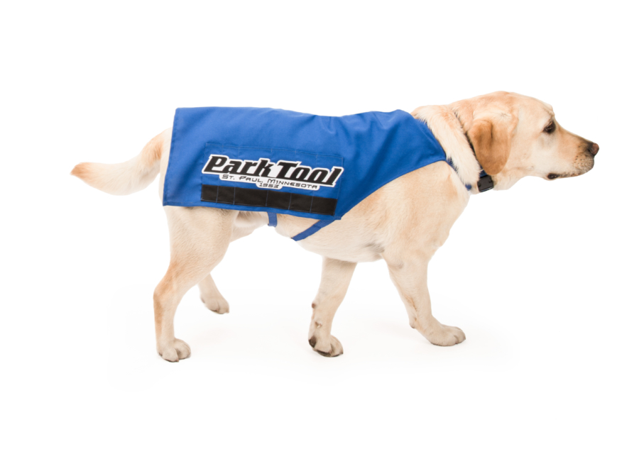 Golden retriever dog wearing blue Park Tool apron, enlarged