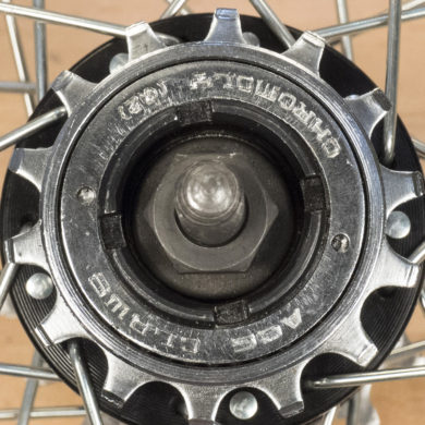 Straight-on shot of compact single-speed freewheel with 4 notches