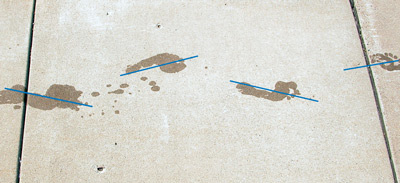 Figure 9. The natural gait trail as left by wet feet