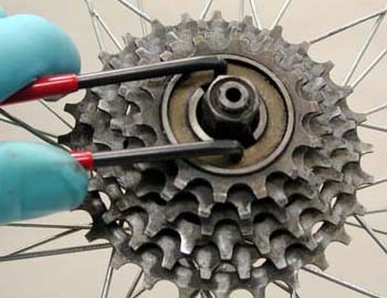 Multiple gear freewheel also use cone with pin holes